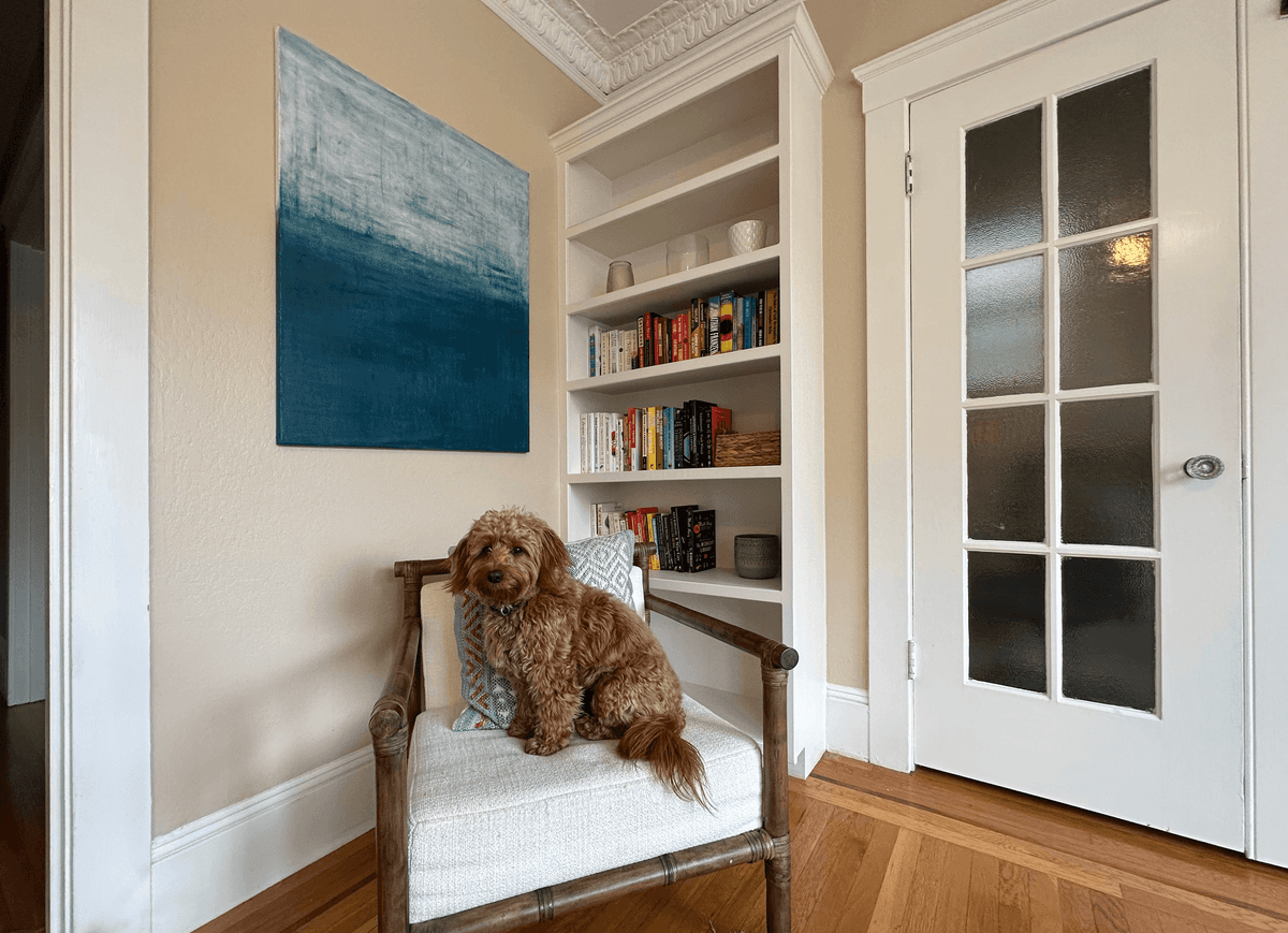 Collector Profile: Hadley Moloney