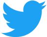 twitter icon